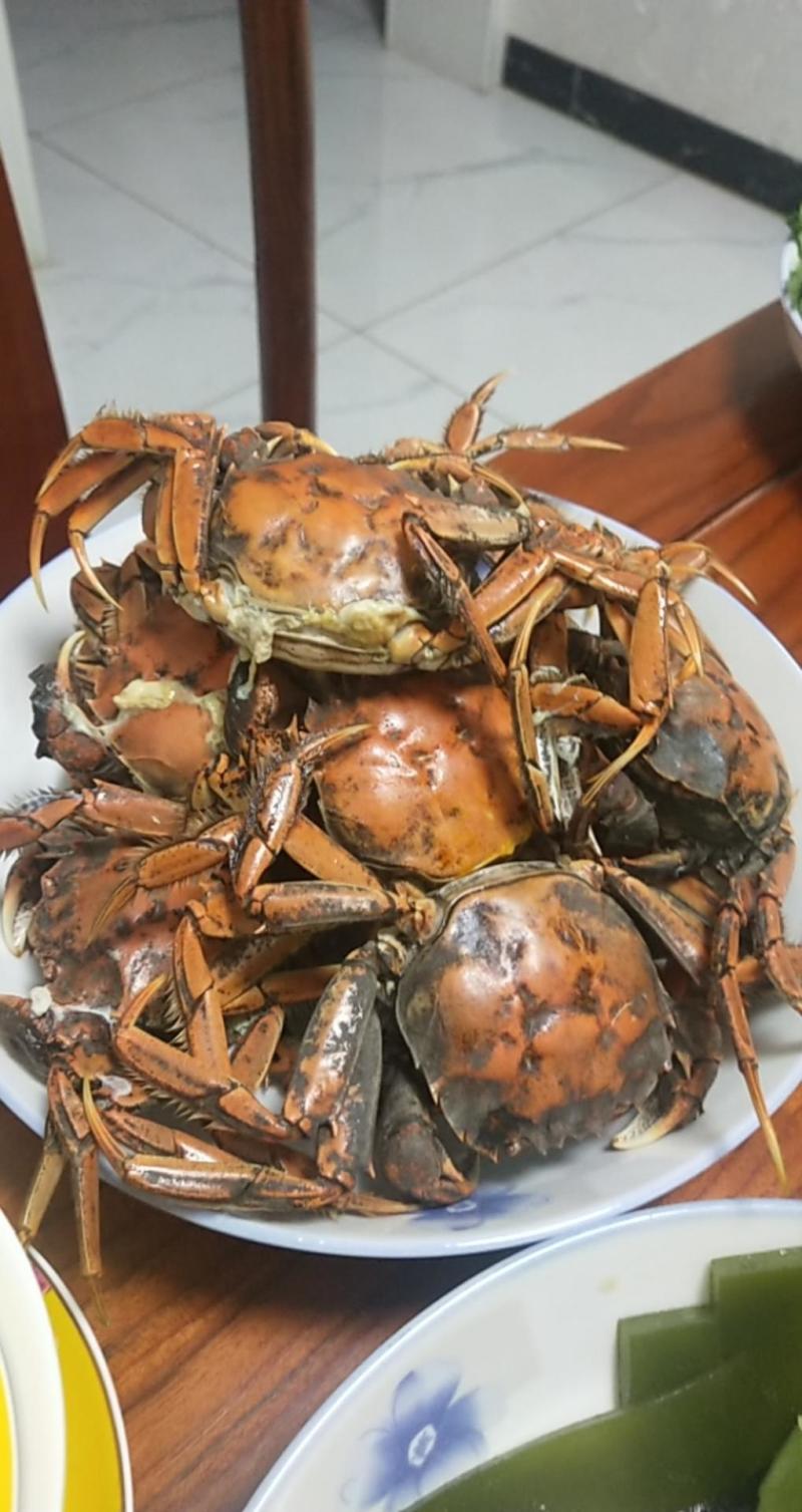 盘锦稻田蟹