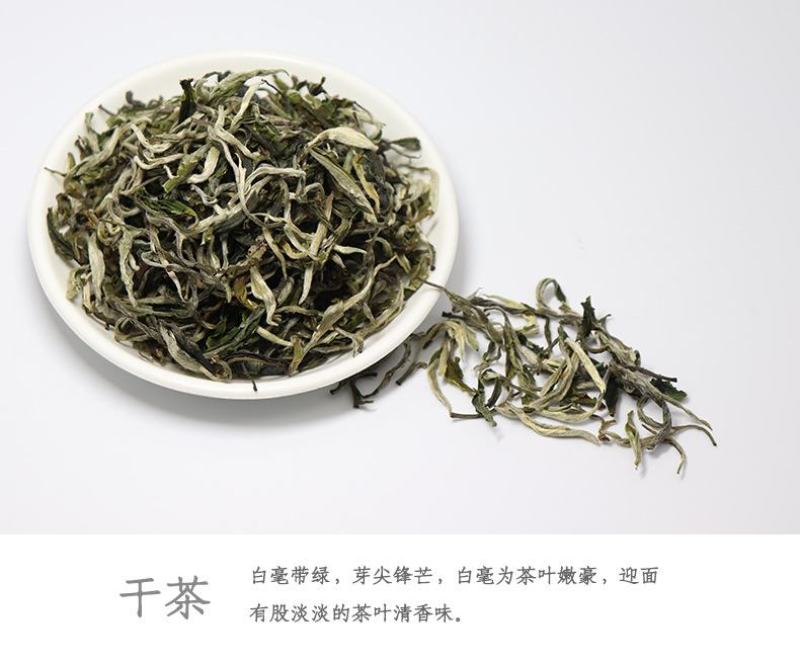 2022头春茶绿茶茶叶香浓型毛尖茶云南茶，厂家自产自销