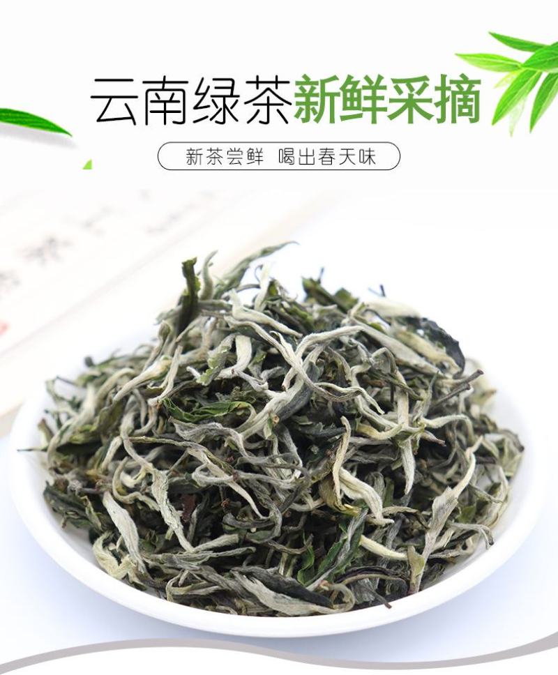 2022头春茶绿茶茶叶香浓型毛尖茶云南茶，厂家自产自销