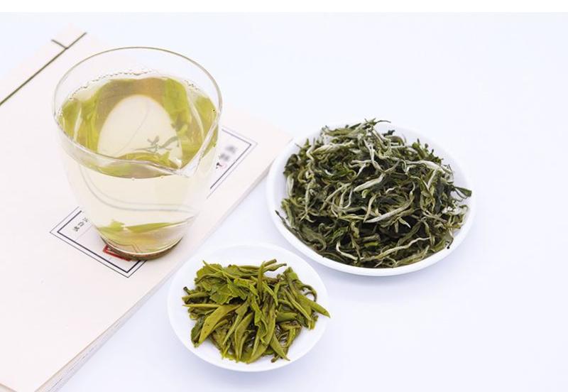 2022头春茶绿茶茶叶香浓型毛尖茶云南茶，厂家自产自销