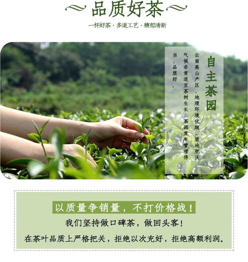 2022头春茶绿茶茶叶香浓型毛尖茶云南茶，厂家自产自销