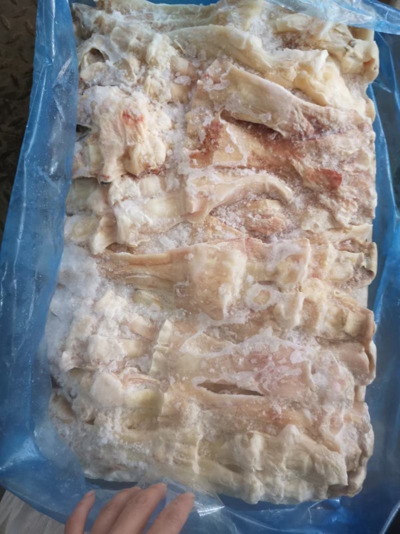 国产纯干牛蹄筋带主筋