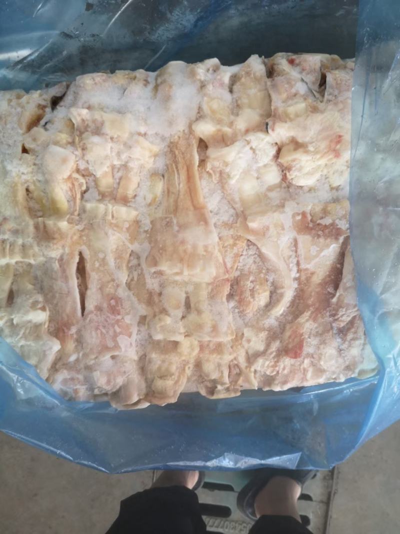 国产纯干牛蹄筋带主筋