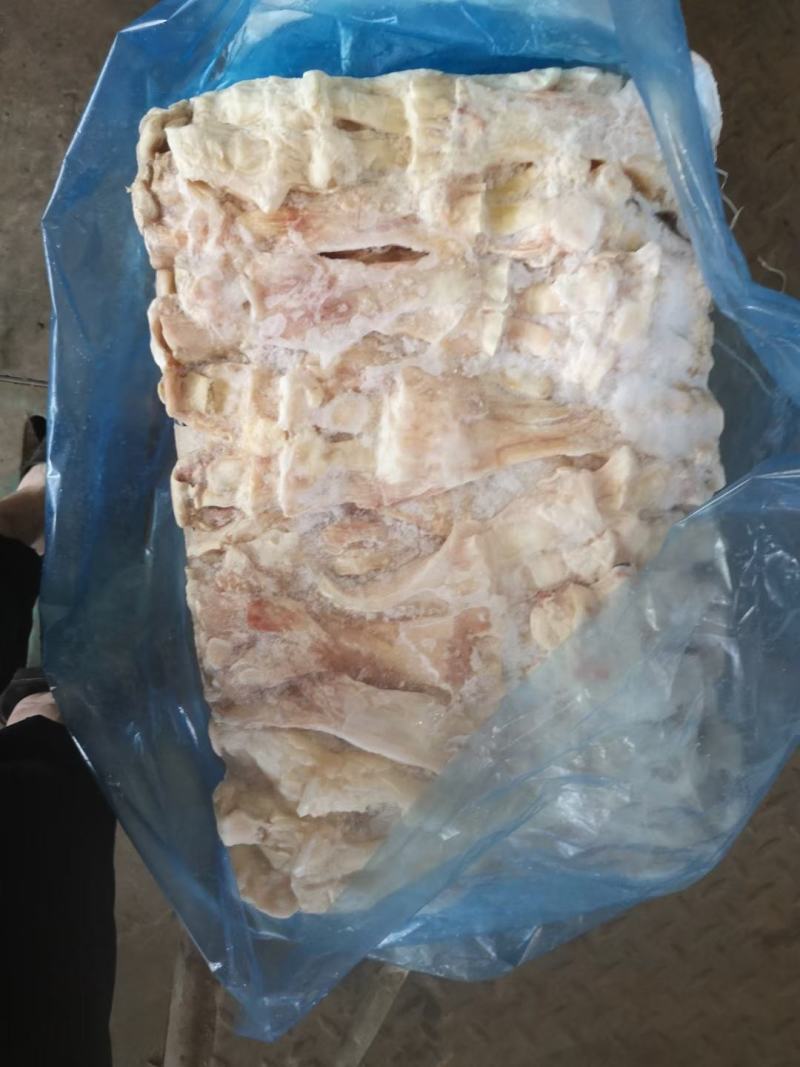 国产纯干牛蹄筋带主筋