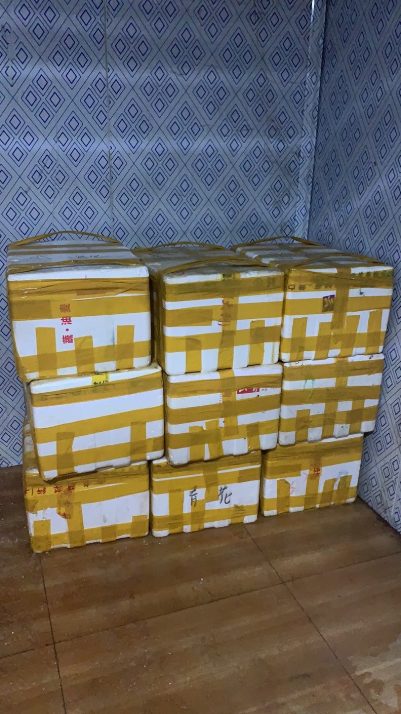 广西柳州柳城将正养殖合作社