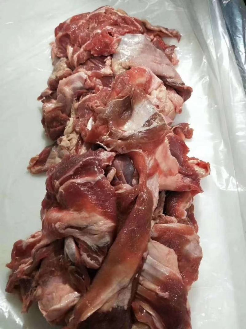 精选牛肉筋纯干少油可做筋头巴脑锅烧烤炖煮口感很好