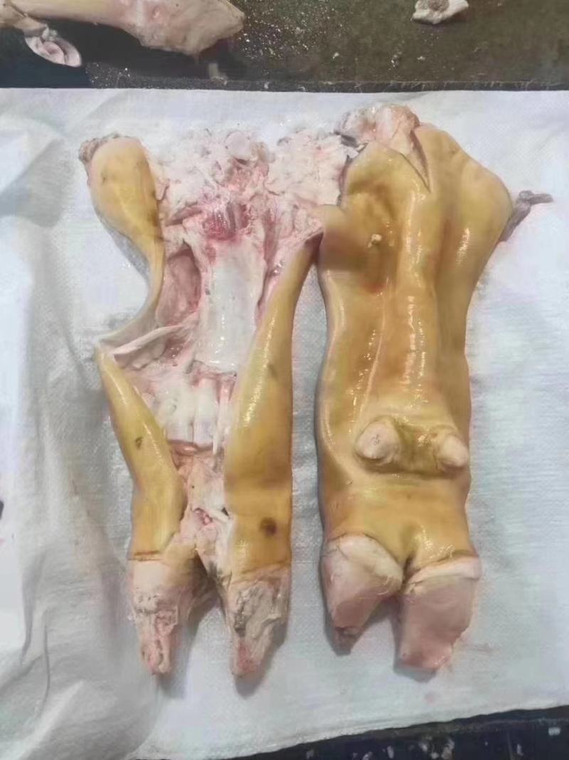 火烧毛全去骨牛蹄半去骨牛蹄带筋胶原蛋白极高