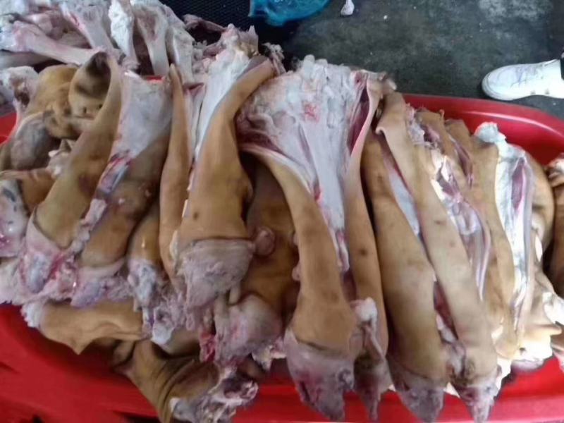火烧毛全去骨牛蹄半去骨牛蹄带筋胶原蛋白极高