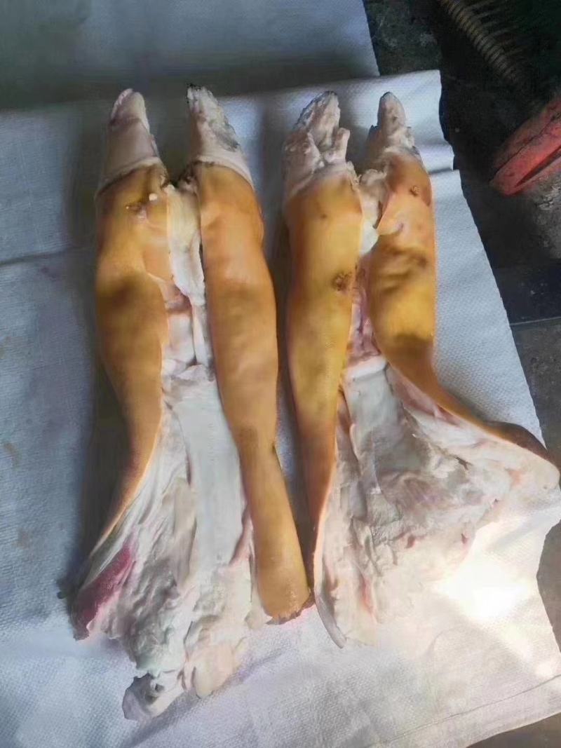 火烧毛全去骨牛蹄半去骨牛蹄带筋胶原蛋白极高