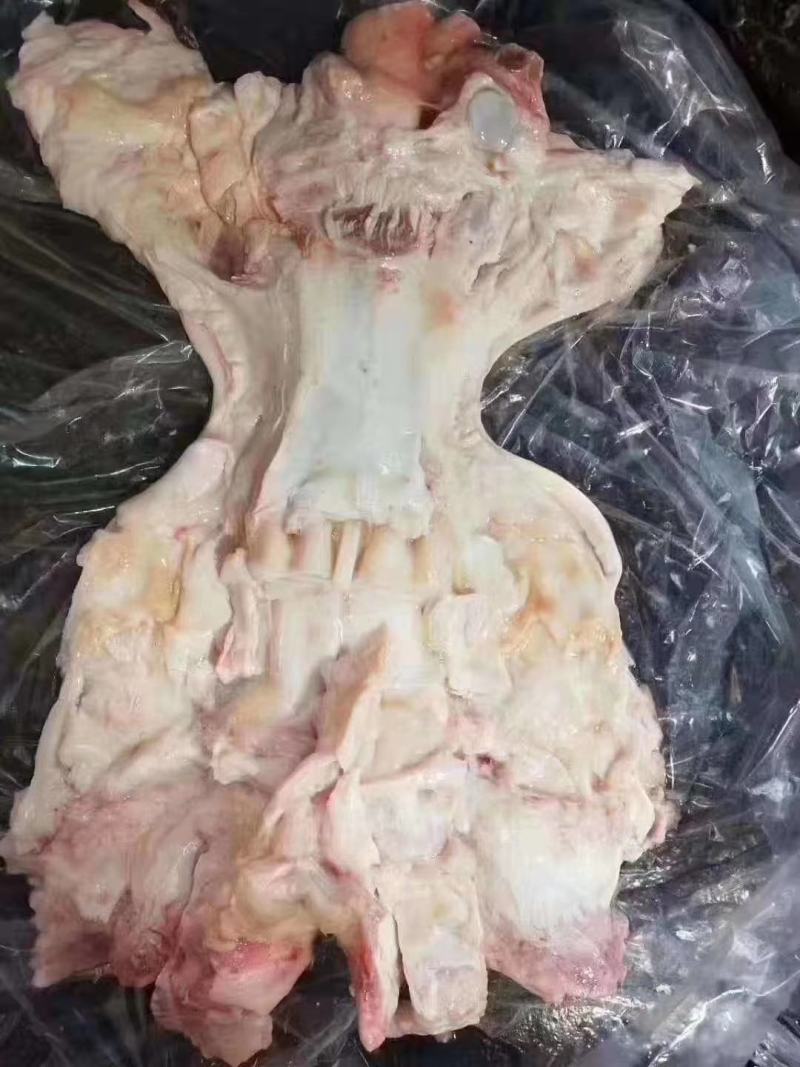 火烧毛全去骨牛蹄半去骨牛蹄带筋胶原蛋白极高