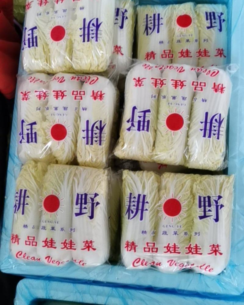 娃娃菜（黄）