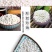 白米五谷杂粮白米色泽的颗粒饱满白米5斤装包邮