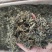 绞股蓝精品特级绞股蓝茶批发零售各种花茶