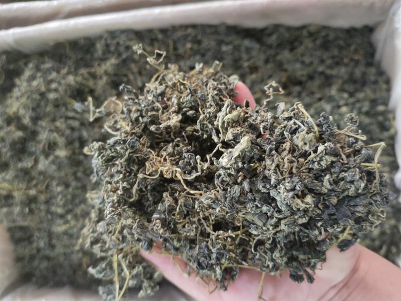 绞股蓝精品特级绞股蓝茶批发零售各种花茶