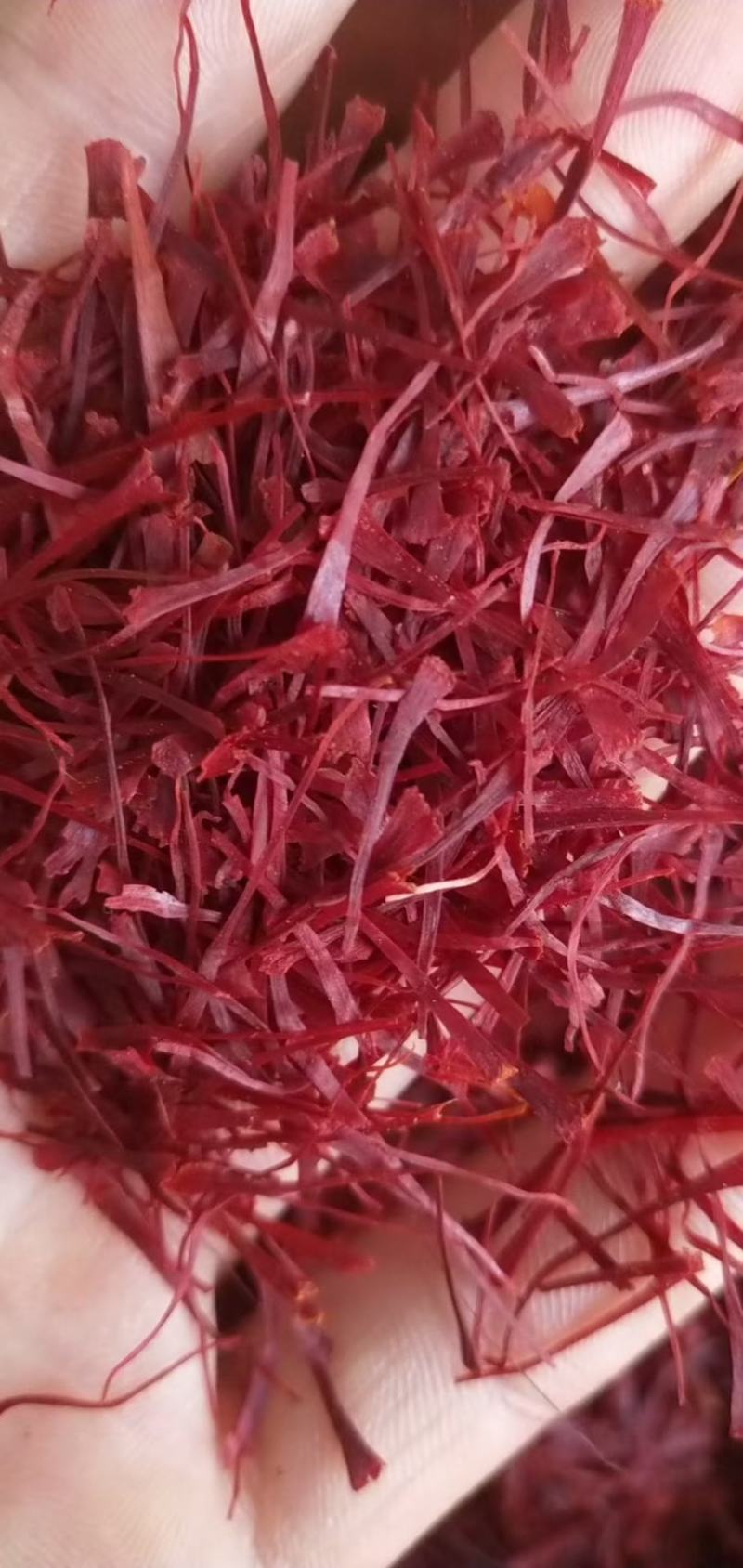 藏红花红花中药材藏红花无硫无添加各种规格可选