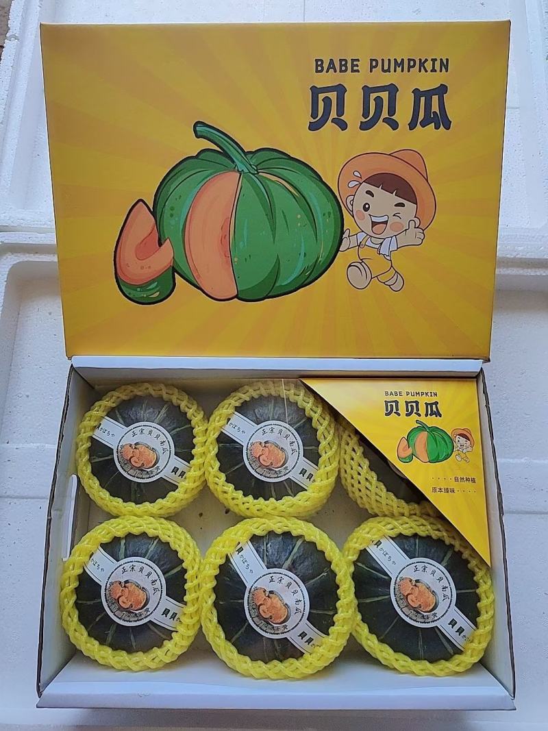 贝贝南瓜礼盒，春节中秋礼盒，团购落地配！基地直供