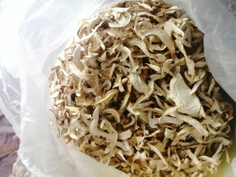 2025年优质松茸干片批发，产地源头直发优质货源