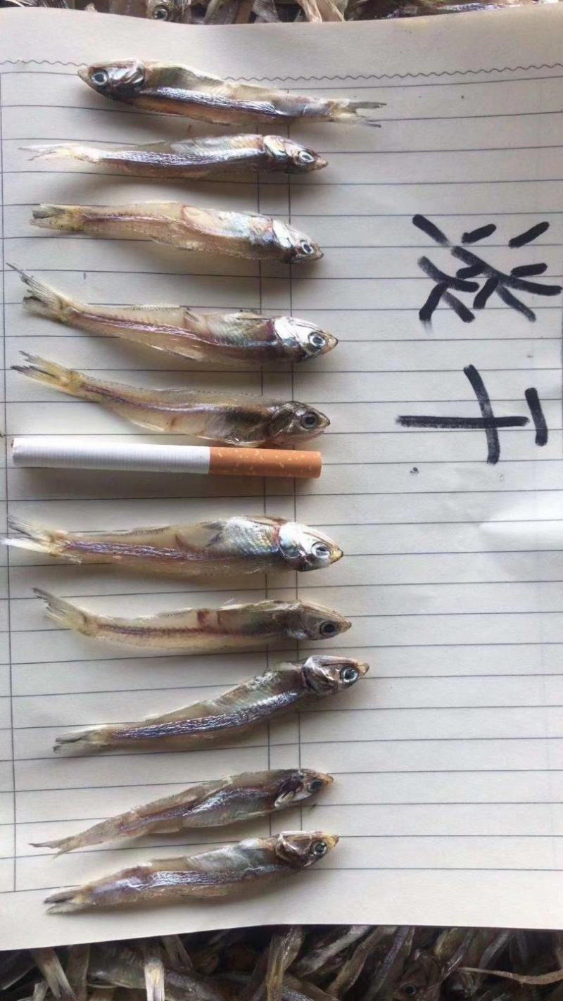 深海天然小鱼干白凡鱼干银鱼干淡干小鱼干咸干小鱼干