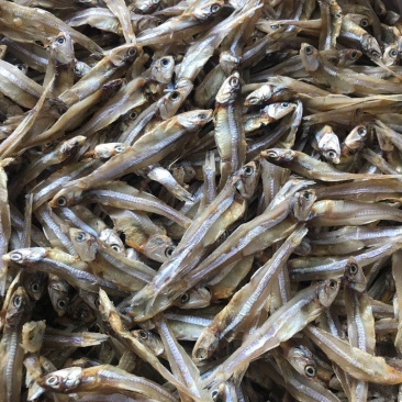 深海天然小鱼干白凡鱼干银鱼干淡干小鱼干咸干小鱼干