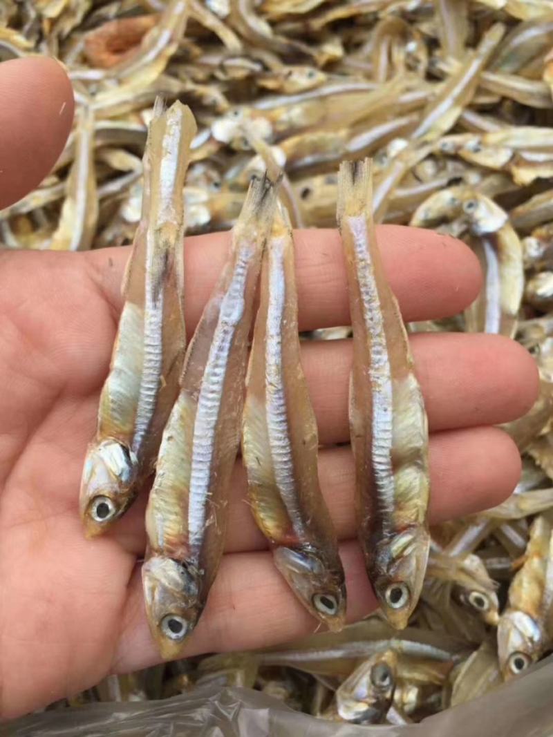 深海天然小鱼干白凡鱼干银鱼干淡干小鱼干咸干小鱼干