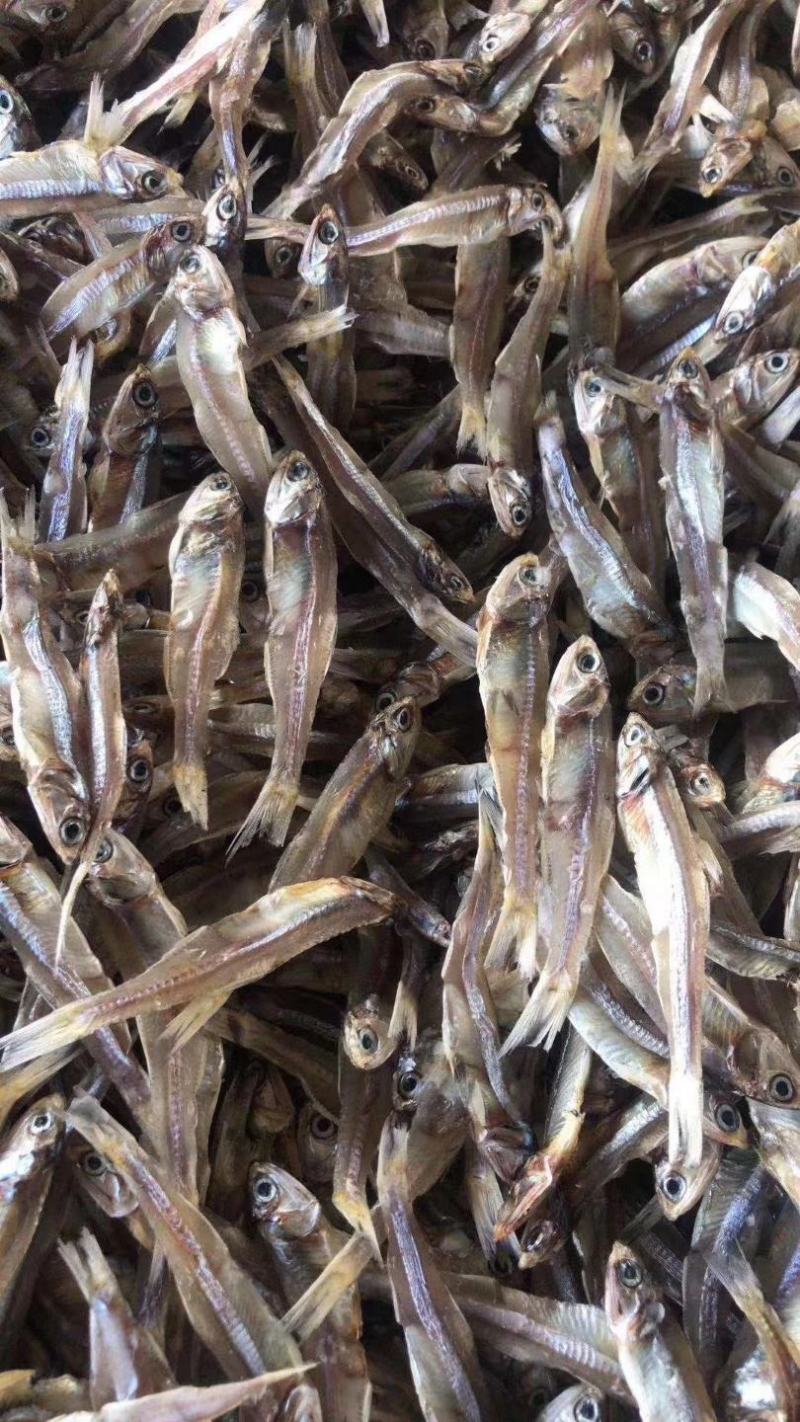 深海天然小鱼干白凡鱼干银鱼干淡干小鱼干咸干小鱼干