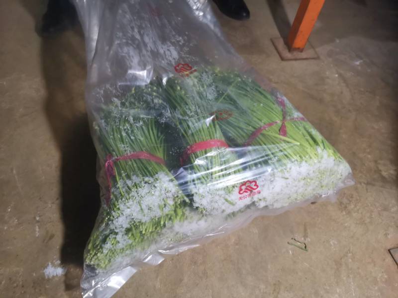 精品韭苔
