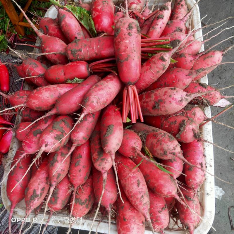 好好