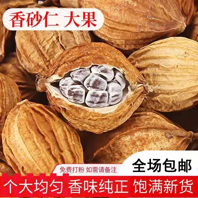 四川香砂仁新货川砂仁炖肉卤料火锅底料