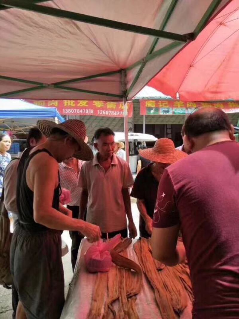 鳗鱼干咸鱼干广西北海鳗鱼干开片鱼干