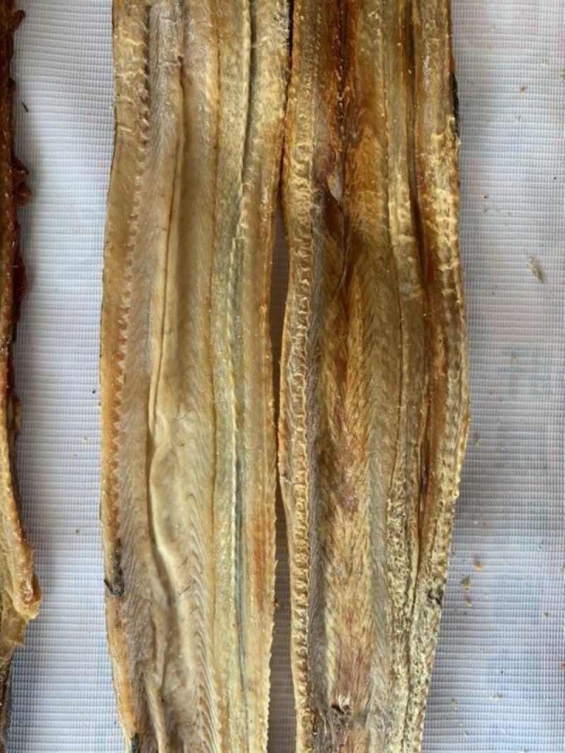 鳗鱼干咸鱼干广西北海鳗鱼干开片鱼干