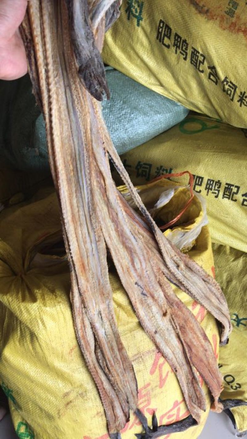 鳗鱼干咸鱼干广西北海鳗鱼干开片鱼干