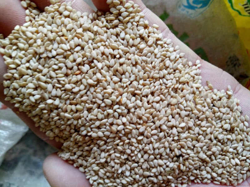 安徽本地高出油率白芝麻，适合油坊，食品厂，直接联系。