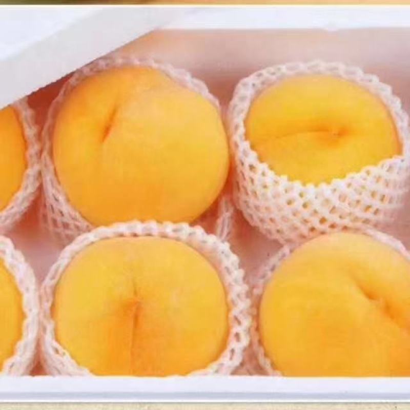 黄金油桃
