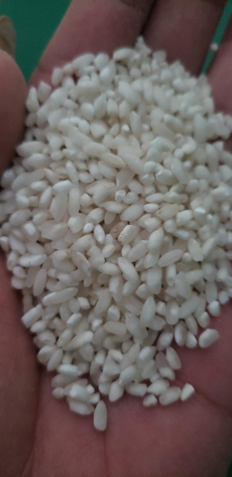 供应各种碎米，酒米，色选米