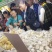 美味淮山糕小米淮山糕红豆薏米淮山糕糕点