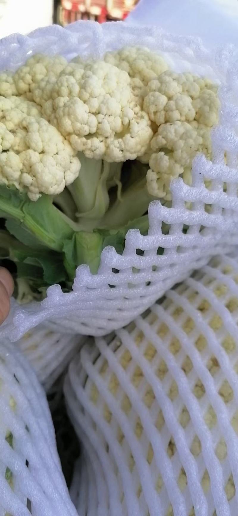 菜花2斤紧密乳白质量好价位合适希望前来洽谈