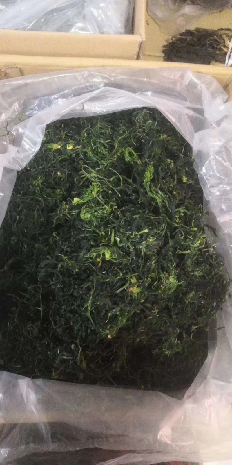 【精品】荠菜10cm以上，大量供应，质量保障，欢迎合作