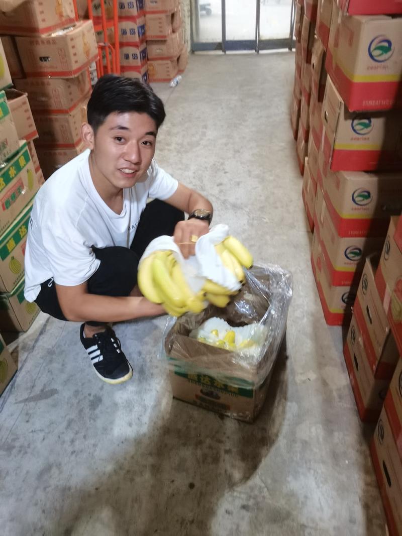 大量供应广东香蕉，净17斤，量大从优，欢迎电商微商批发商
