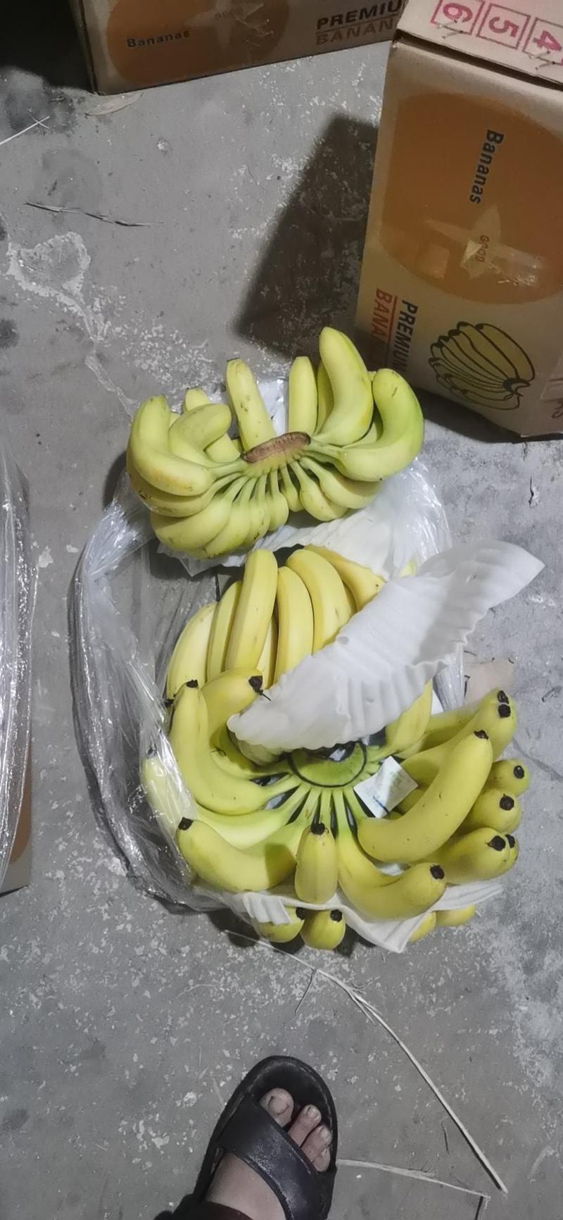 大量供应广东香蕉，净17斤，量大从优，欢迎电商微商批发商