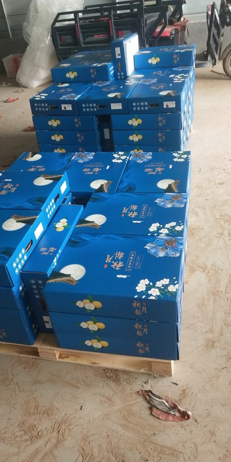 精品一件代发《山东秋月梨》原产地秋月梨，对接电商平台