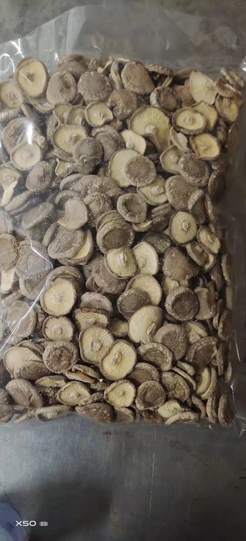 产地批发庆元香菇】香信菇（庆科20）庆元香菇241
