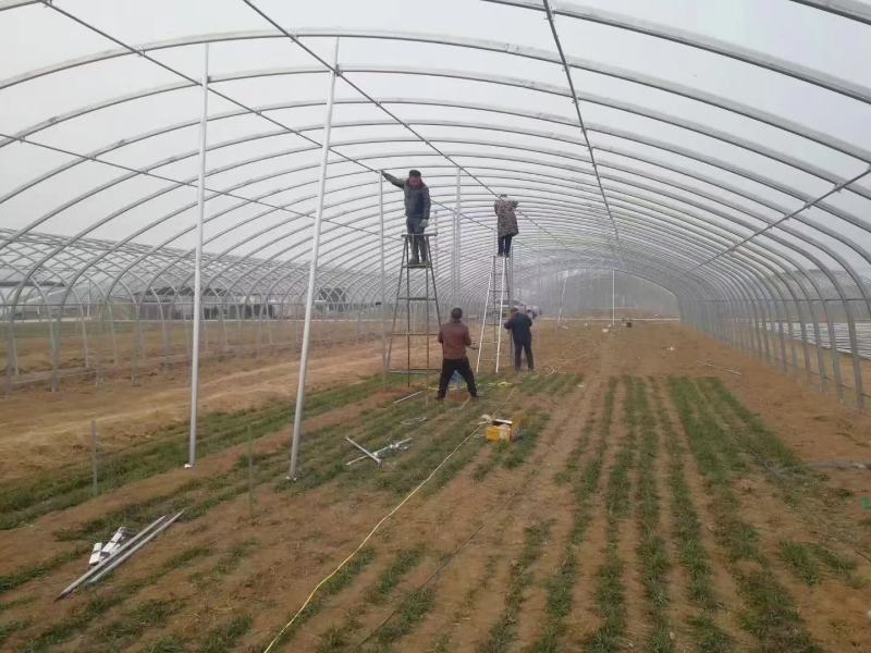 温室大棚养殖种植大棚全套钢管骨架支架椭圆管定制拱棚质量好
