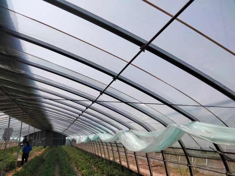 温室大棚养殖种植大棚全套钢管骨架支架椭圆管定制拱棚质量好