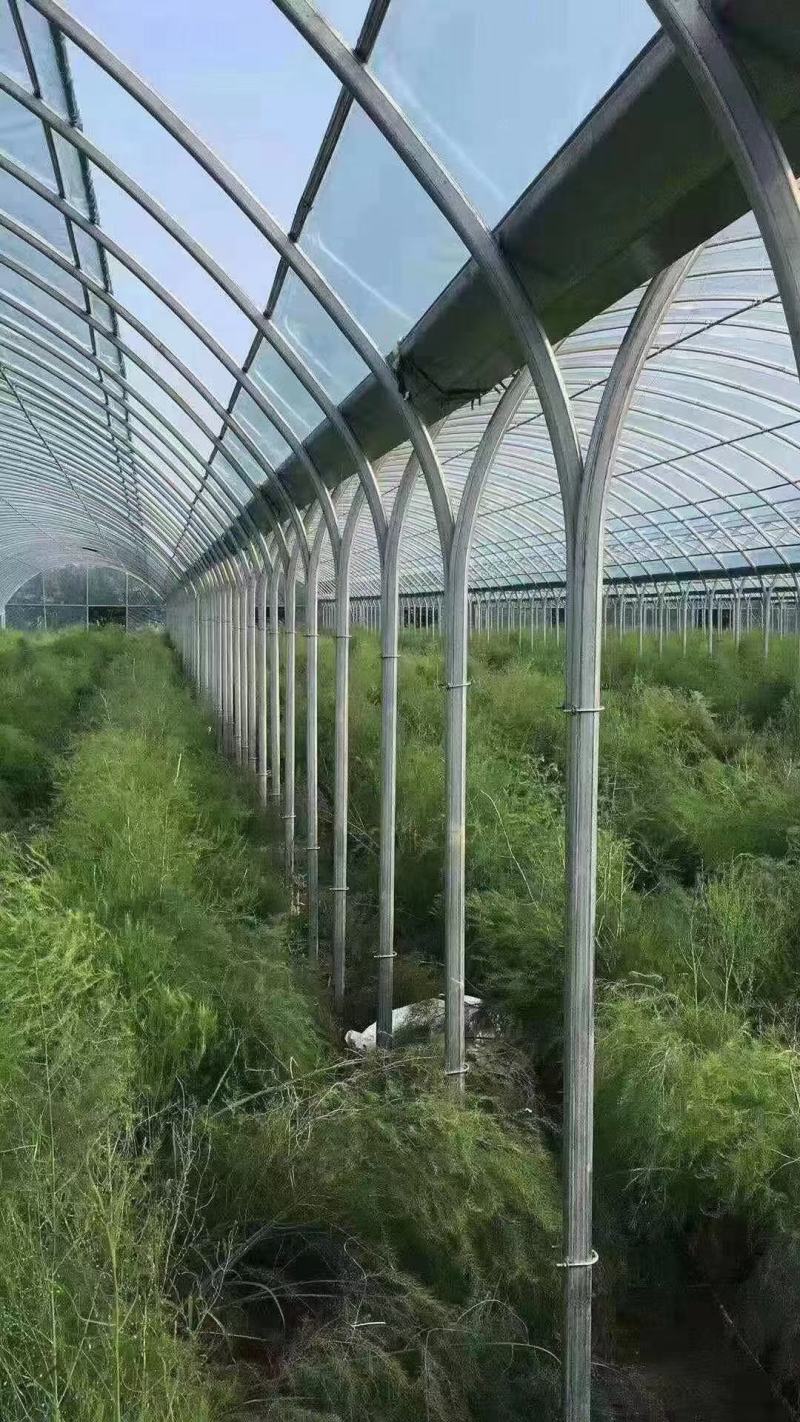 温室大棚养殖种植大棚全套钢管骨架支架椭圆管定制拱棚质量好