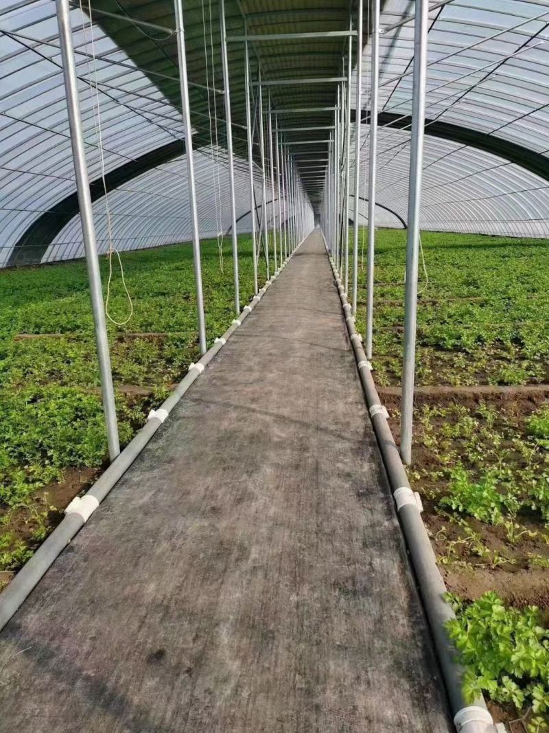 温室大棚养殖种植大棚全套钢管骨架支架椭圆管定制拱棚质量好