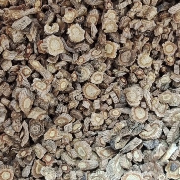 防风中片
