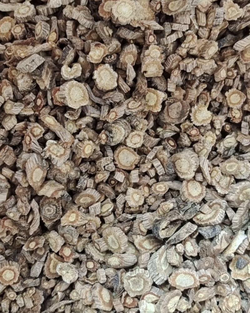 防风中片