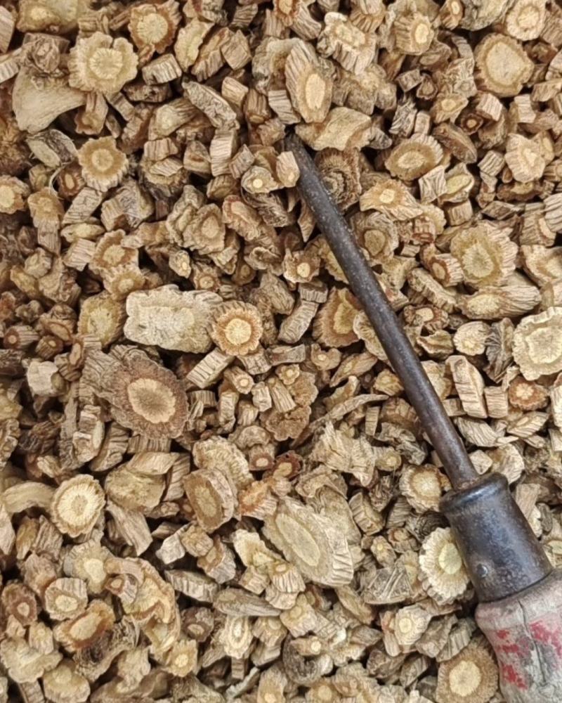 防风中片