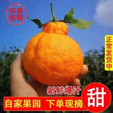 【一件代发】丑橘不知火纯甜化渣对接电商团购