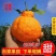 【一件代发】丑橘不知火纯甜化渣对接电商团购
